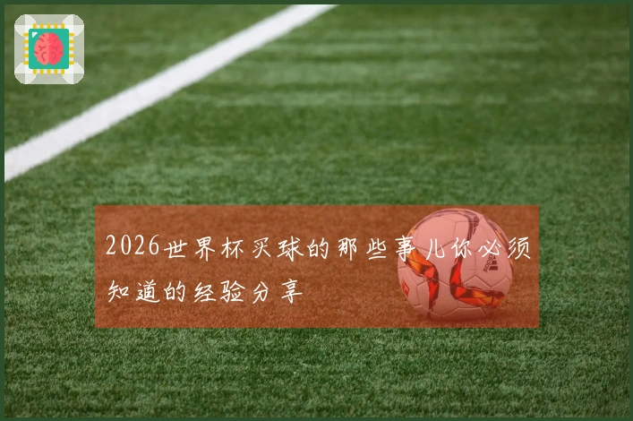 2026世界杯买球的那些事儿你必须知道的经验分享