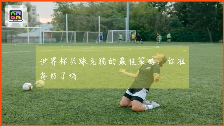 世界杯买球竞猜的最佳策略，你准备好了吗