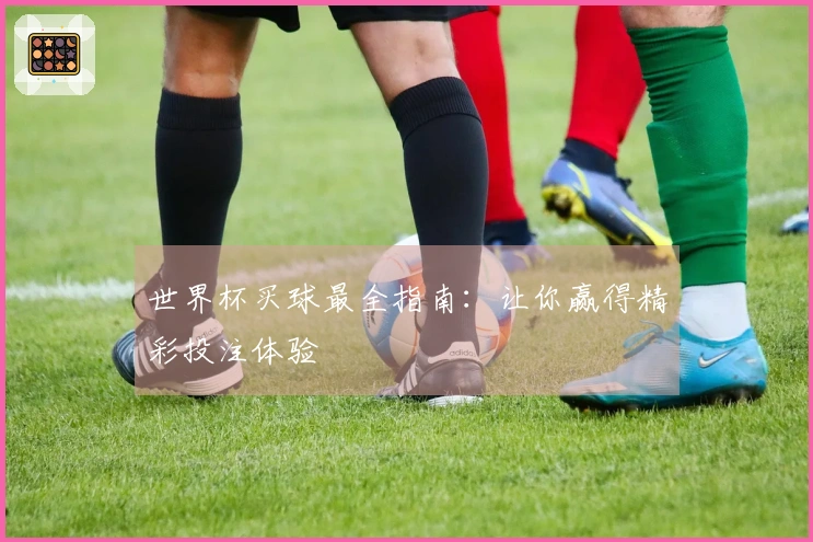 世界杯买球最全指南：让你赢得精彩投注体验