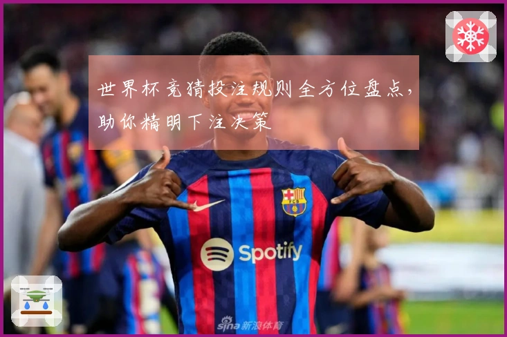 世界杯竞猜投注规则全方位盘点，助你精明下注决策